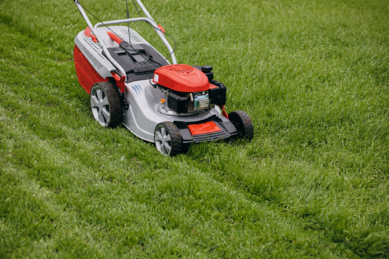 Agricoltura e giardinaggio