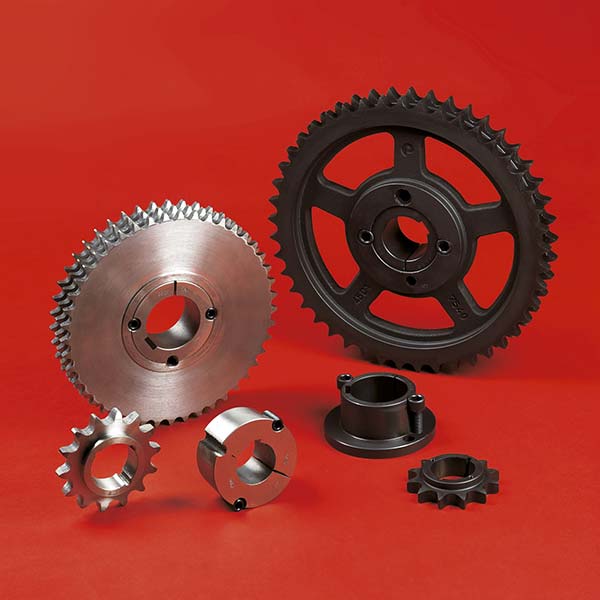 Pulegge-Catene-Pignoni