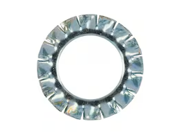 Rondella elastica dentellatura esterna